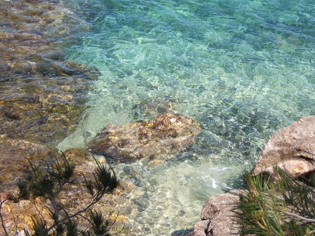 Aparthotel Les Lauriers Roses Le Le Rayol-Canadel-sur-Mer Esterno foto