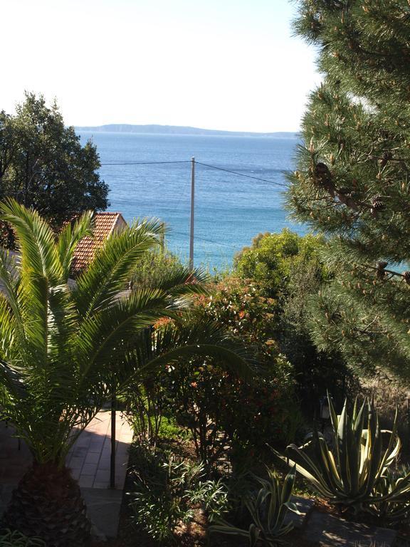 Aparthotel Les Lauriers Roses Le Le Rayol-Canadel-sur-Mer Esterno foto